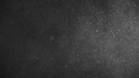 Natural Dust Particles Float On Black Background. Dust In Motion. Stock Footage 104683439