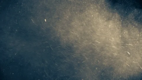 Natural Dust Particles Float On Black Background. Dust In Motion. Stock Footage 104683878