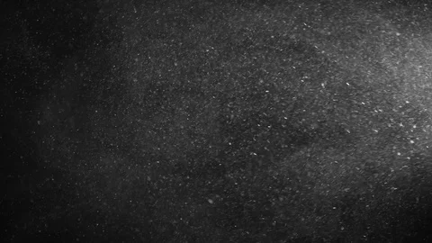 Natural Dust Particles Float On Black Background. Dust In Motion. Stock Footage 119993551