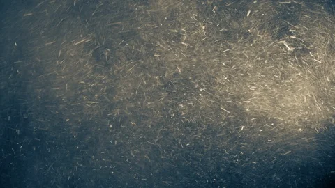 Natural Dust Particles Float On Black Background. Dust In Motion. 스톡 동영상 119993619