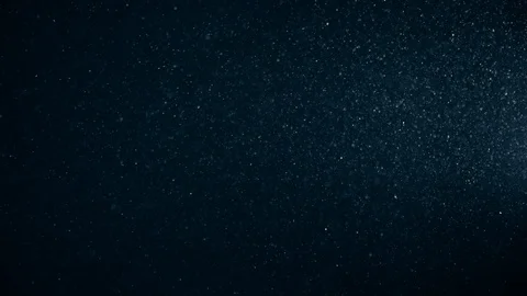 Natural Dust Particles Float On Black Background. Dust In Motion. Stock Footage 119995512