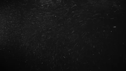 Natural Dust Particles Float On Black Background. Dust In Motion. Stock Footage 119996832
