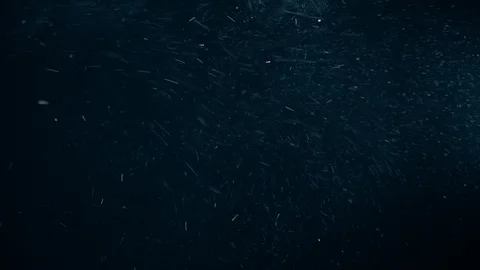 Natural Dust Particles Float On Black Background. Dust In Motion. Stock Footage 119997105