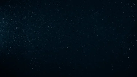 Natural Dust Particles Float On Black Background. Dust In Motion. Stock Footage 119997439