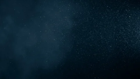 Natural Dust Particles Float On Black Background. Dust In Motion. Stock Footage 120000530
