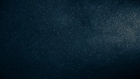 Natural Dust Particles Float On Black Background. Dust In Motion. Stock Footage 120003859