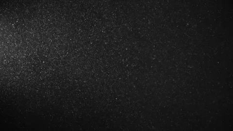 Natural Dust Particles Float On Black Background. Dust In Motion. Stock Footage 120004267