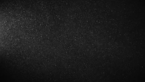Natural Dust Particles Float On Black Background. Dust In Motion. Stock Footage 123464723
