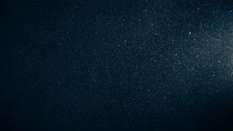 Natural Dust Particles Float On Black Background. Dust In Motion. Stock Footage 123464896