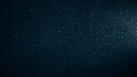 Natural Dust Particles Float On Black Background. Dust In Motion. Stock Footage 123465260