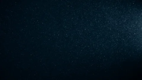 Natural Dust Particles Float On Black Background. Dust In Motion. 스톡 동영상 123465450