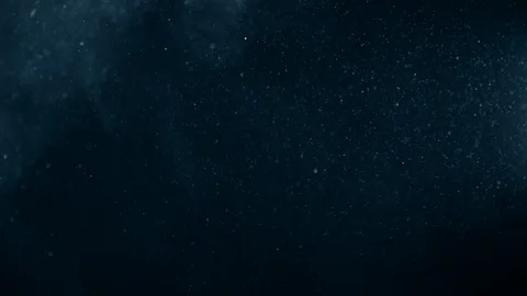Natural Dust Particles Float On Black Background. Dust In Motion. Stock Footage 123465635