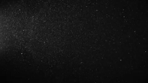 Natural Dust Particles Float On Black Background. Dust In Motion. Stock Footage 123465862