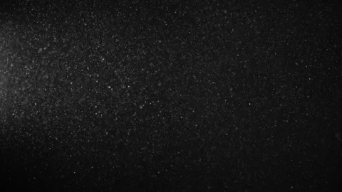 Natural Dust Particles Float On Black Background. Dust In Motion. Stock Footage 123466049