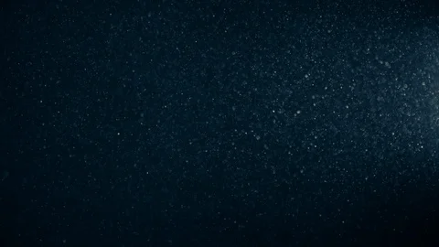 Natural Dust Particles Float On Black Background. Dust In Motion. Stock Footage 123466124
