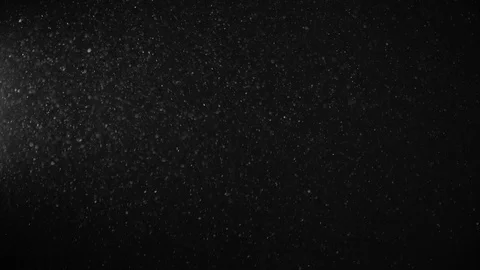 Natural Dust Particles Float On Black Background. Dust In Motion. Stock Footage 123466207