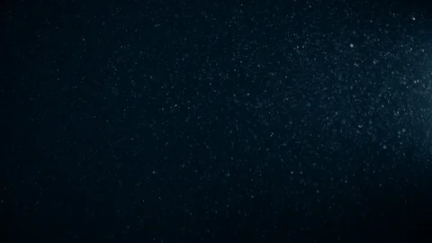 Natural Dust Particles Float On Black Background. Dust In Motion. Stock Footage 123466516