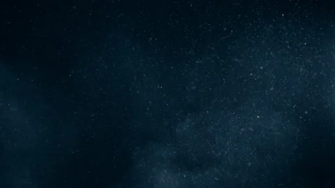 Natural Dust Particles Float On Black Background. Dust In Motion. Stock Footage 123466648