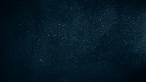 Natural Dust Particles Float On Black Background. Dust In Motion. Stock Footage 123466712