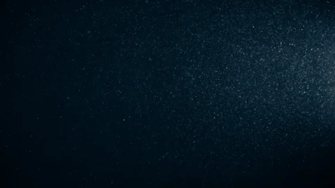 Natural Dust Particles Float On Black Background. Dust In Motion. Stock Footage 123467099
