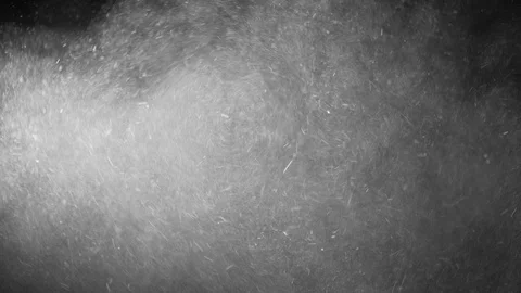 Natural Dust Particles Float On Black Background. Dust In Motion. Stock Footage 123467583