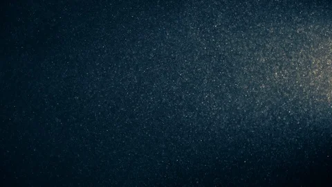 Natural Dust Particles Float On Black Background. Dust In Motion. Stock Footage 123468208