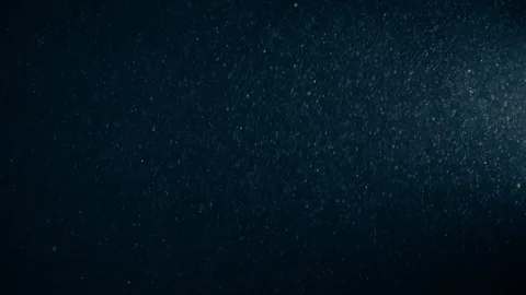 Natural Dust Particles Float On Black Background. Dust In Motion. Stock Footage 123468650