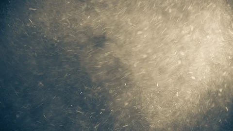 Natural Dust Particles Float On Black Background. Dust In Motion. Stock Footage 123468860