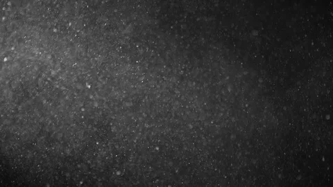 Natural Dust Particles Float On Black Background. Dust In Motion. 스톡 동영상 123469061
