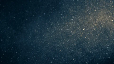 Natural Dust Particles Float On Black Background. Dust In Motion. 스톡 동영상 123469131