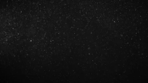 Natural Dust Particles Float On Black Background. Dust In Motion. Stock Footage 123469400