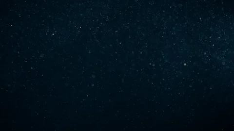 Natural Dust Particles Float On Black Background. Dust In Motion. Stock Footage 123469626