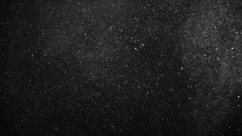 Natural Dust Particles Float On Black Background. Dust In Motion. Stock Footage 123470011