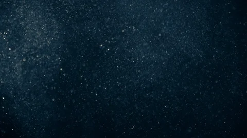 Natural Dust Particles Float On Black Background. Dust In Motion. Stock Footage 123470087