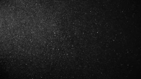 Natural Dust Particles Float On Black Background. Dust In Motion. Stock Footage 123470155