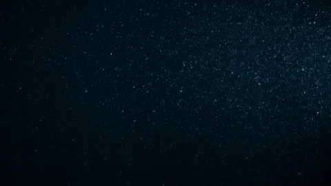 Natural Dust Particles Float On Black Background. Dust In Motion. Stock Footage 123470598