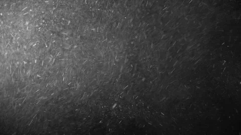 Natural Dust Particles Float On Black Background. Dust In Motion. Stock Footage 123470997