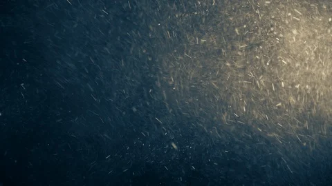 Natural Dust Particles Float On Black Background. Dust In Motion. Stock Footage 123471043