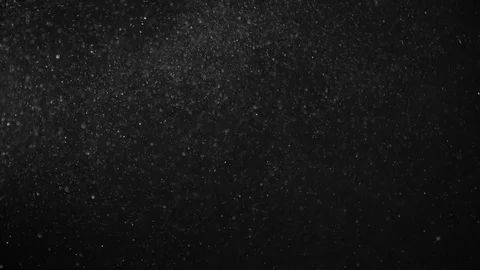 Natural Dust Particles Float On Black Background. Dust In Motion. Stock Footage 123471181