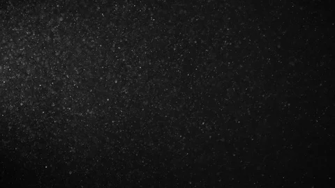 Natural Dust Particles Float On Black Background. Dust In Motion. Stock Footage 123471670