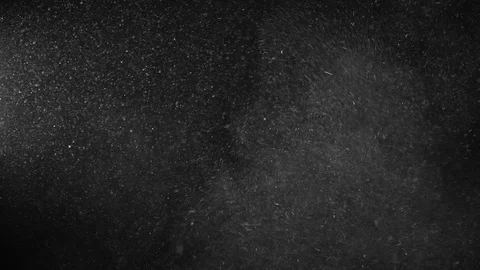 Natural Dust Particles Float On Black Background. Dust In Motion. Stock Footage 123471729