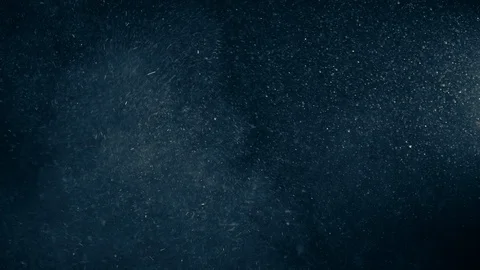 Natural Dust Particles Float On Black Background. Dust In Motion. Stock Footage 123471913