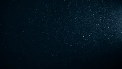 Natural Dust Particles Float On Black Background. Dust In Motion. Stock Footage 123472468