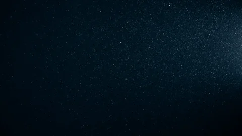 Natural Dust Particles Float On Black Background. Dust In Motion. Stock Footage 123473162