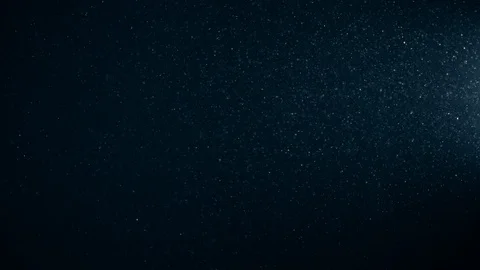 Natural Dust Particles Float On Black Background. Dust In Motion. Stock Footage 123473248