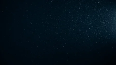 Natural Dust Particles Float On Black Background. Dust In Motion. Stock Footage 123473555