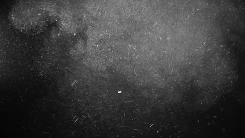 Natural Dust Particles Float On Black Background. Dust In Motion. Stock Footage 123474403