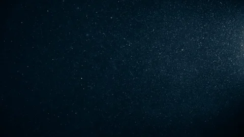 Natural Dust Particles Float On Black Background. Dust In Motion. Stock Footage 123475621