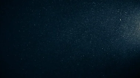 Natural Dust Particles Float On Black Background. Dust In Motion. Stock Footage 123475840