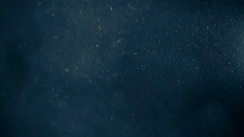 Natural Dust Particles Float On Black Background. Dust In Motion. Stock Footage 123476880